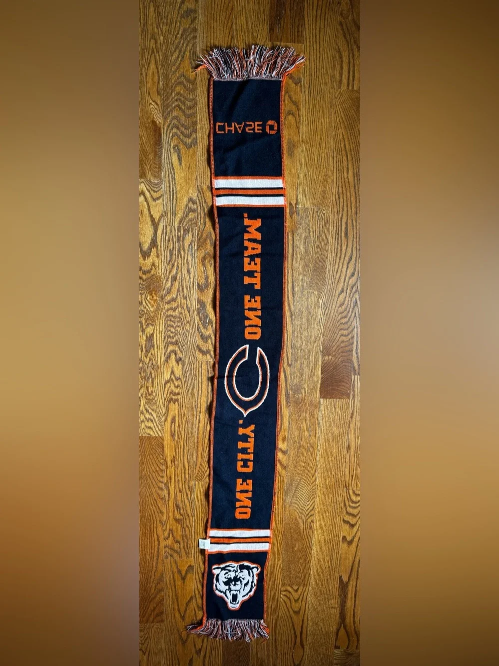 Chicago Bears NFL One City One Team Chase Scarf
